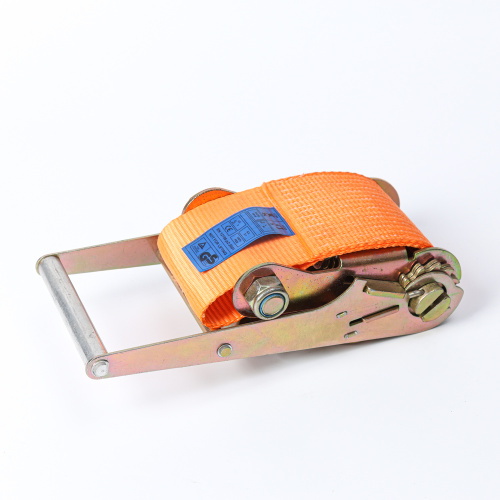 Suppliers for Heavy Duty Cam Buckle Straps