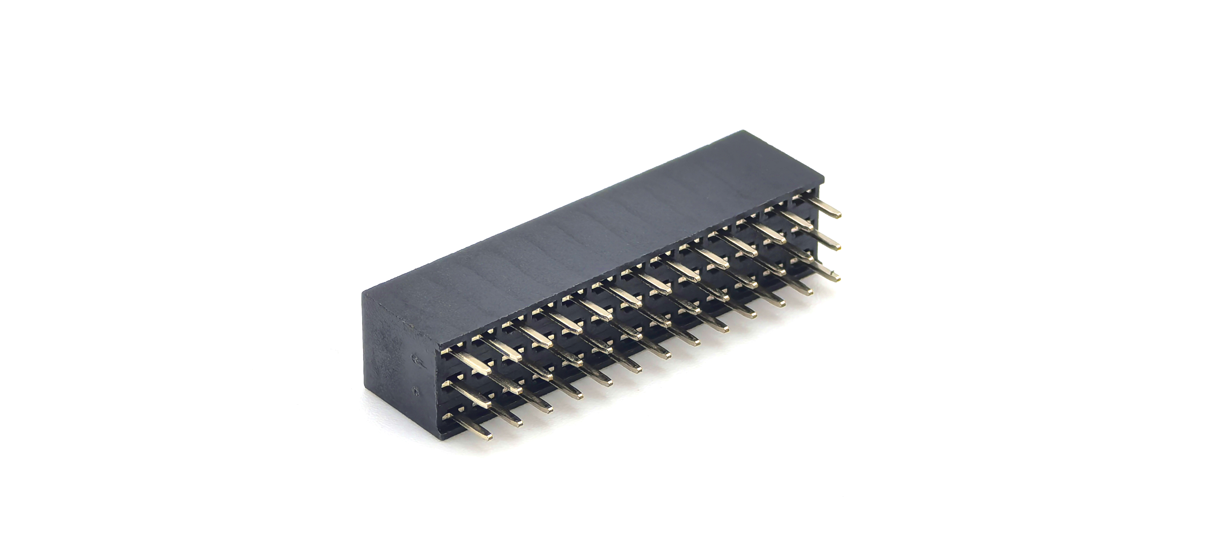Main-02