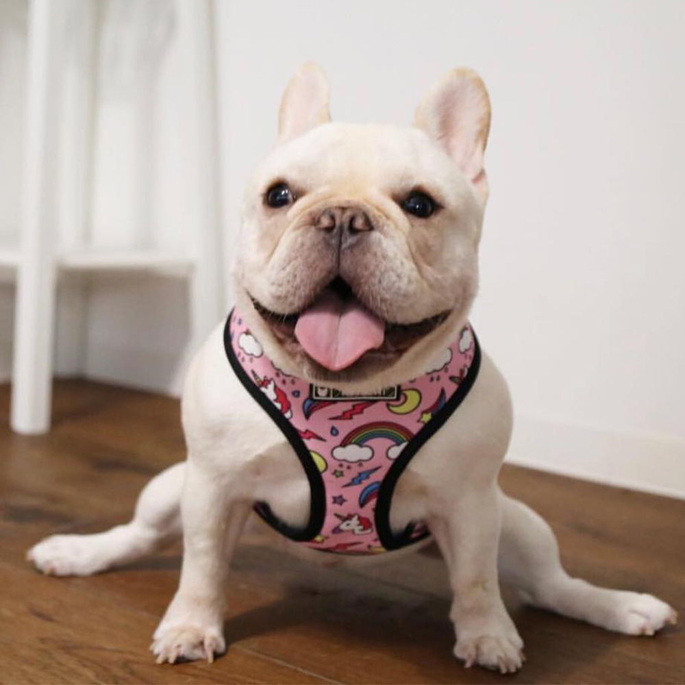 Unicorn Small Dog Harness No Pull Dog Vest Harness for Small Medium Dogs Breathable Pets Puppy French Bulldog Harness Leash Set