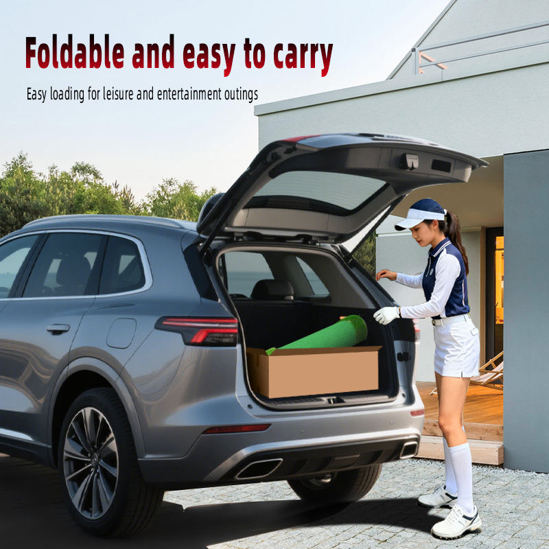 Custom Golf Mini Putting Green7