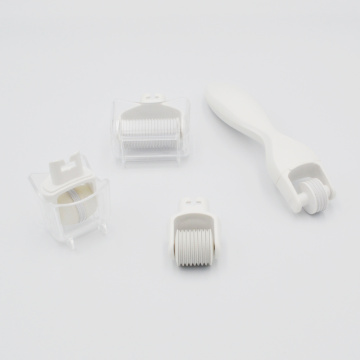 Replaceable Face 4 in 1 Derma Roller Kit