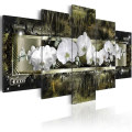 5 Pieces White Orchids Blossom Prints Posters Wall Painting Metal Sense Wall Art Flowers Canvas Painting Living Room Home Decor