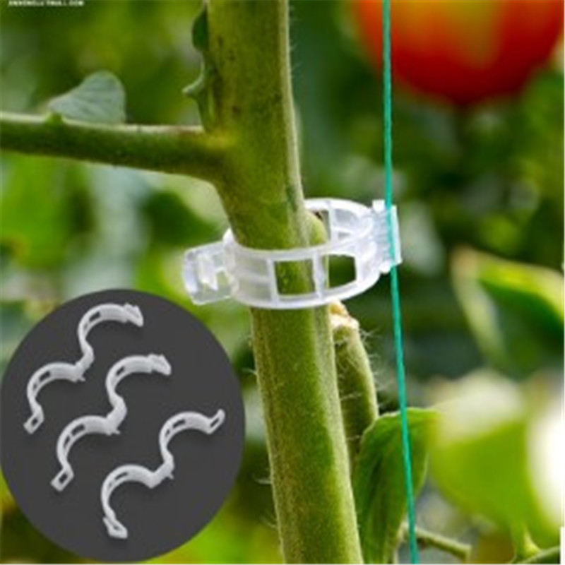 50 pcs Tomato Garden Plant Support Clips garden ornaments for Trellis Twine Greenhouse Tomato Plant Grafting Clips Supplies