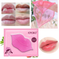 5 pcs Collagen Lip Mask Anti-aging Pads Wrinkle Patch Moisturizing Lip Scrub Nourish Lips Care Masks TSLM1