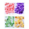 12 Colors Nail Petals Shell Small Crushed Stone Crystal Shell Ornament Manicure Tools ZG88