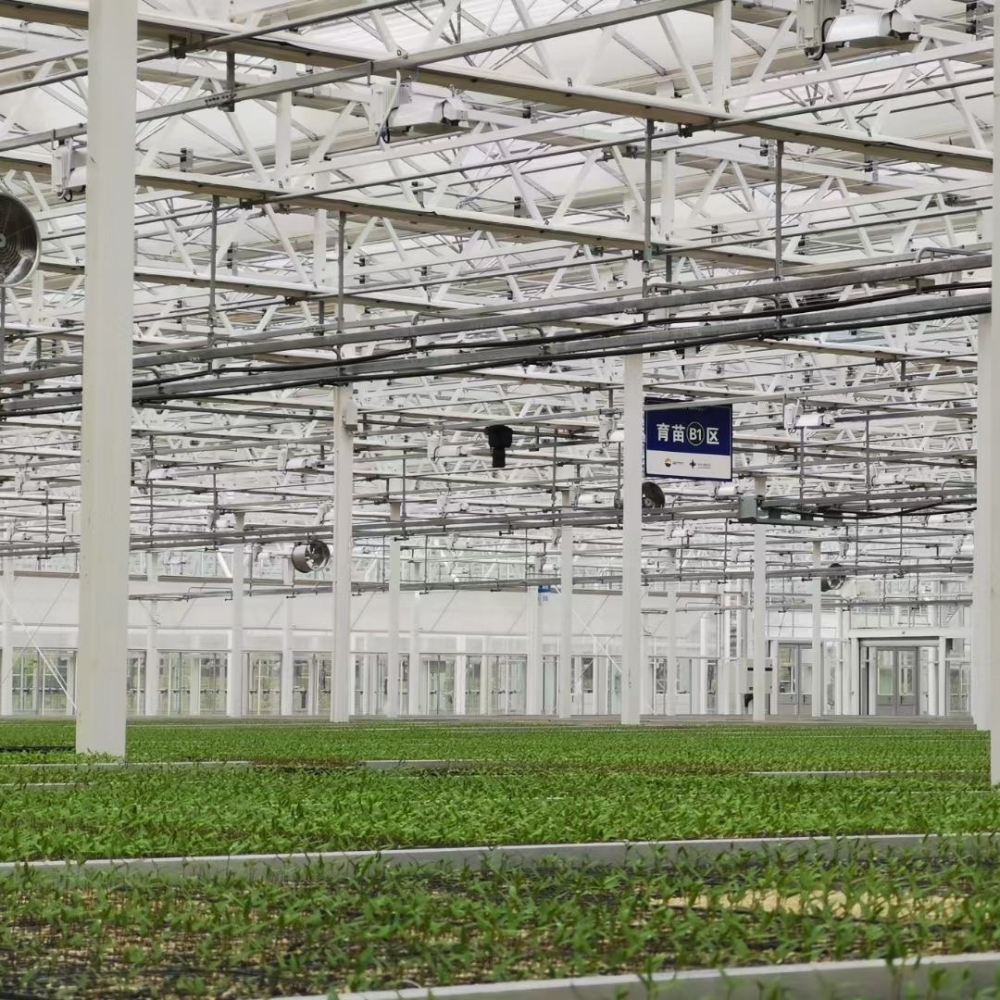 Arched PC Greenhouse