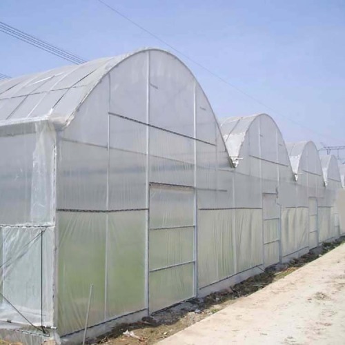 Multi Span Film Covering Greenhouse for Vegetables Manufacturers and Multi Span Film Covering Greenhouse for Vegetables Suppliers