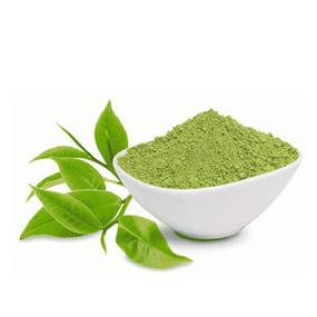 Green Tea Extract Theanine - Fine Powder