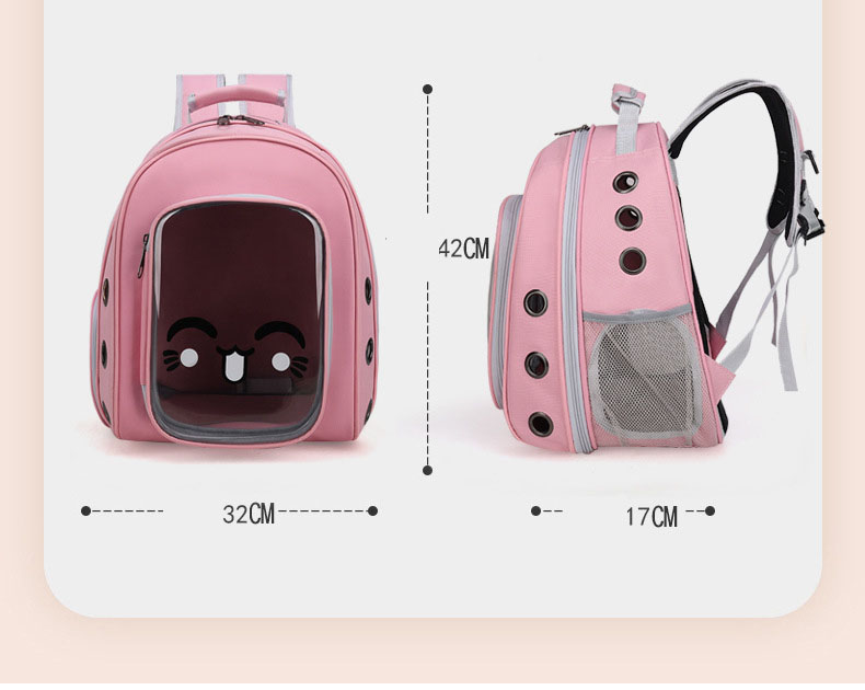 Pet Travel Carrier