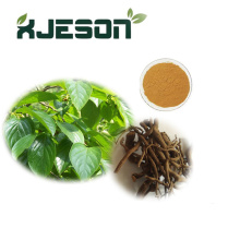 Kava Root Extract Powder