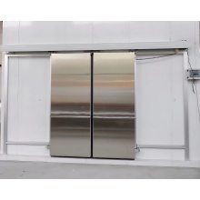 Medical stainless steel electric sliding single clean door