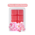 Peony cherry blossom