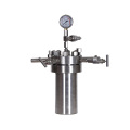 Lab Chemical Teflon Lined Stainless Steel Autoclave