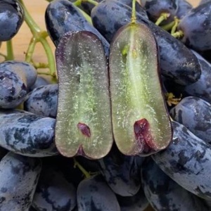 Finger Shaped Seedless Black Grapes