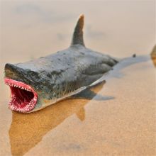 Sea Life Megalodon Model Action Figure PVC Ocean Animal Educational Learning Toy For Kid Gift XX9E