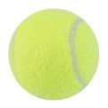 Yellow Tennis Balls Sports Tournament Outdoor Fun Cricket Beach Dog Ideal for Beach Cricket Tennis Practice or Beach/etc