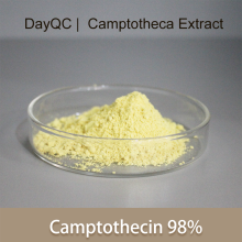Camptotheca Acuminate Extract Pure Camptothecin Powder Bulk