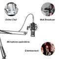 BM-800 Hanging Microphone Kit, Live Broadcast Recording Large Diaphragm Condenser Microphone Set