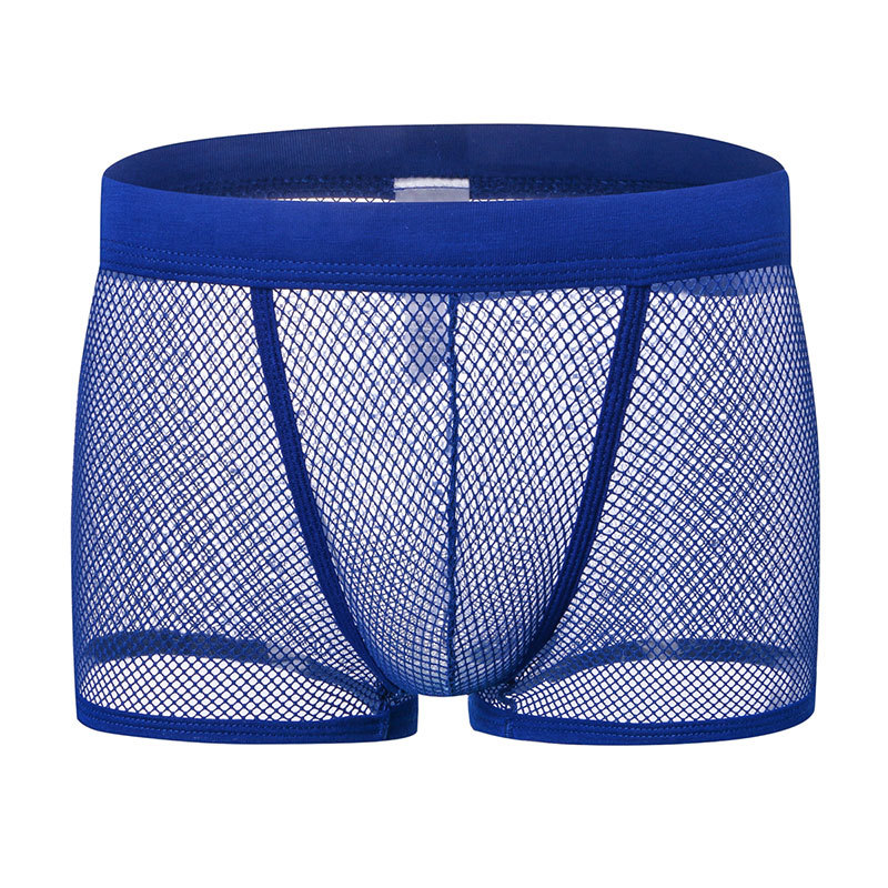 Mesh Underpants Low Rise Man Sexy Underwear 9 Color Sexy Mens Boxers Shorts Transparent Mesh See Through Net