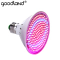 LED Grow light Full Spectrum Fitolamp Hydroponics Phyto lamp Phyto-Lamp For Vegetable Flower Seedlings Plants Lighting