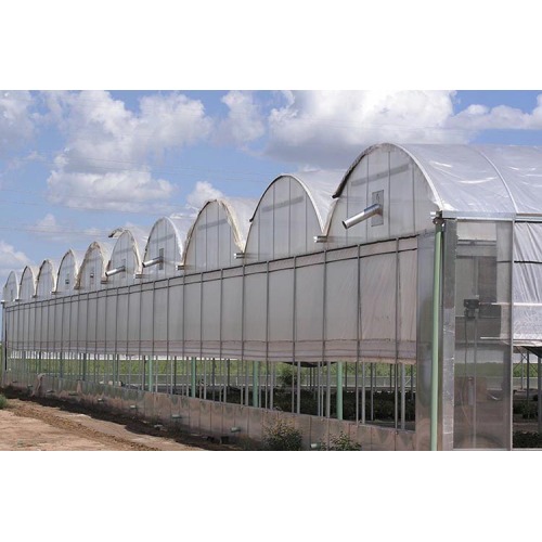 Agriculture Multi Span Film Greenhouse Manufacturers and Agriculture Multi Span Film Greenhouse Suppliers