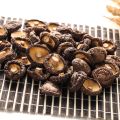 Grade A Rich Nutrition Dried Shiitake Mushroom