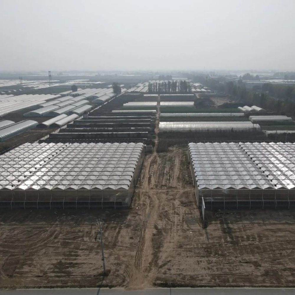 PC Board Multi-span Greenhouse