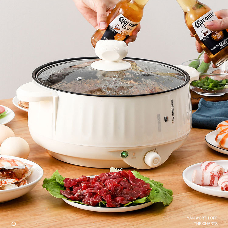 220V Multifunctional Electric Cooker Heating Pan Electric Cooking Pot Machine Hotpot Noodles Eggs Soup Steamer mini rice cooker