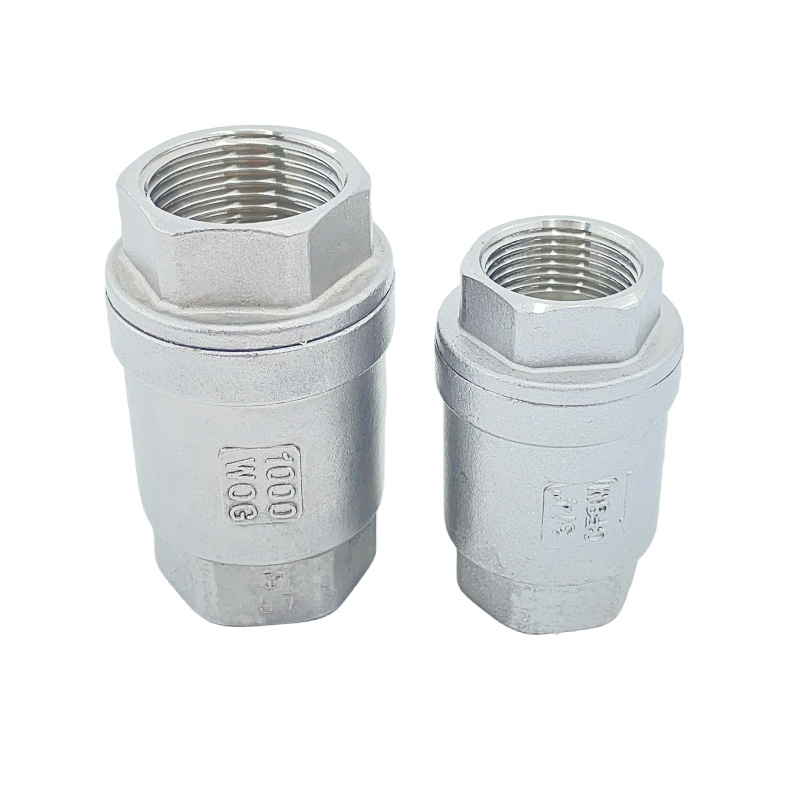 Vertical Lift Check Valve (1)