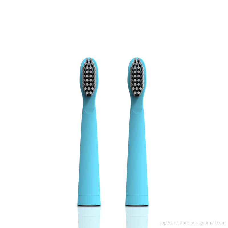 Functional rechargeable sonic electric toothbrush with USB