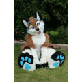 Halloween Long Fur Fox Husky Dog Wolf Fursuit Mascot Costume Suit Adult Cosplay Factory Wholesale + Free Postage