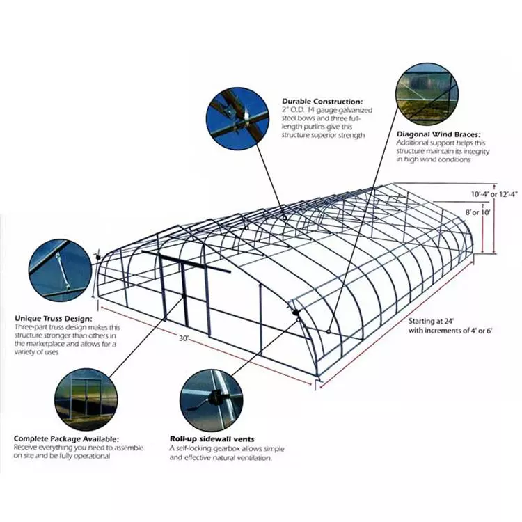 PE Film greenhouse for Agriculture Low cost Tunnel