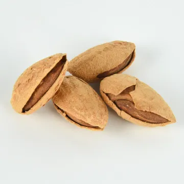 Fresh Trail Mix with Almond Nuts