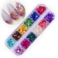 12 Colors Nail Petals Shell Small Crushed Stone Crystal Shell Ornament Manicure Tools ZG88