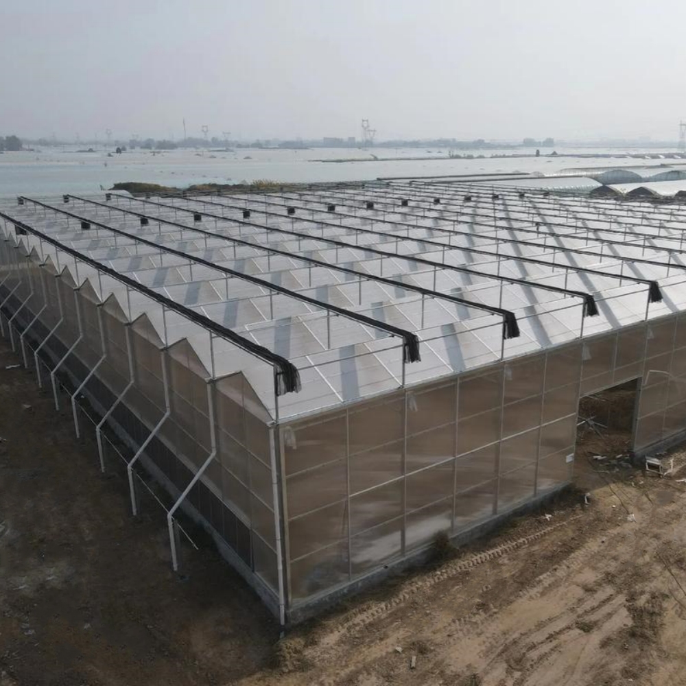 PC Board Multi-span Greenhouse