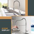 Brushed Nickel Kitchen Faucets with Pull Down Sprayer,Commercial Single Handle Pull Out Stainless Steel Spring