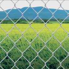 Chain Link Fence (galvanized chain link fence)