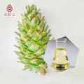 pine cone essential oil anti-bacteria