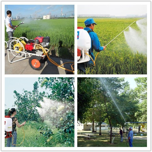 Vòi phun Sprayer Hose