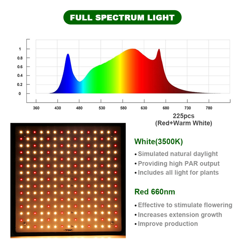 1000W Grow Tent LED Grow Light Phyto Lamp For Plant Full Spectrum Led Lights For Indoor Growing Fitolamp Flowers Herbs Growth