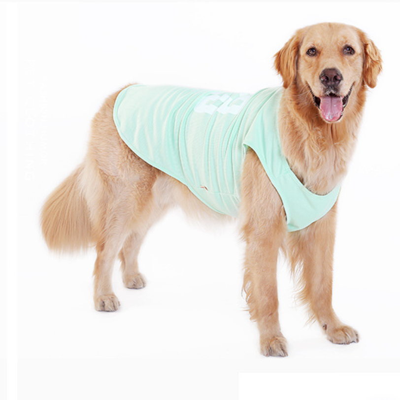 Pet Clothes Designer