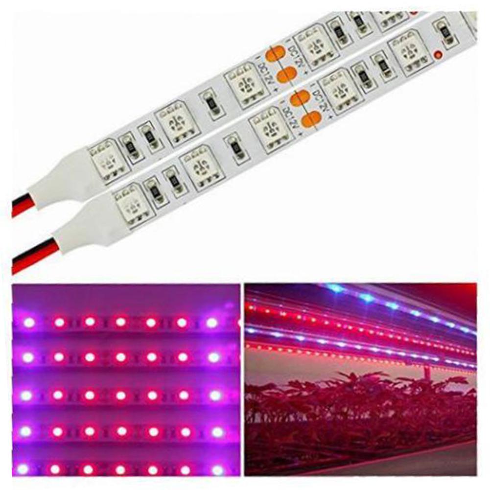 5M 12V LED Plant Grow Strip Light Full Spectrum Creative Rope Light for Vegetable Cultivation Horticulture Industrial Seedling