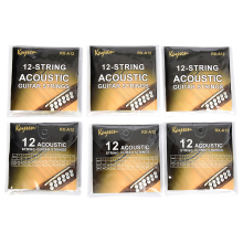 12-String Custom Light Acoustic Guitar Strings(10-45)