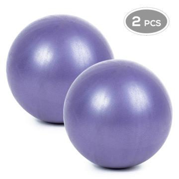 25cm 2 Pcs Sports Yoga Balls Fitness Ball Gym BalanceAnti-burst Thick Stability Ball Mini Pilates Barre Physical Ball