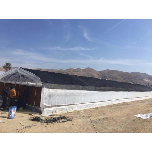 Gothic Arch Plastic Tunnel Greenhouse Manufacturers and Gothic Arch Plastic Tunnel Greenhouse Suppliers