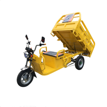 Strong Battery Power 60V 1000W Transport Electric Tricycle Cargo Delivery