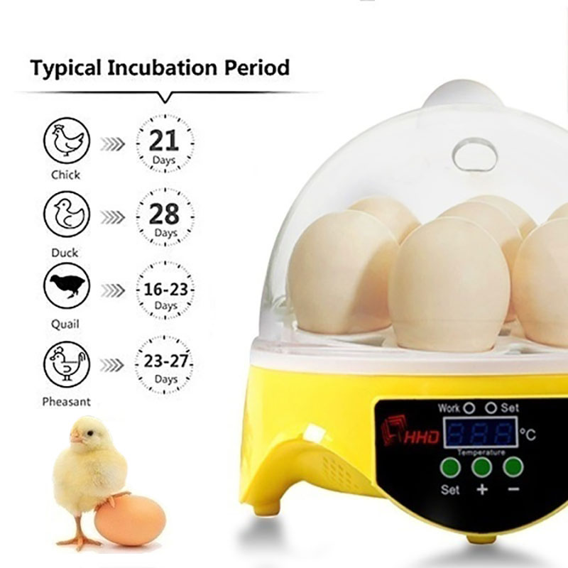 Mini Digital 7 Eggs Incubator Automatic Temperature Brooder Chicken Duck Bird Egg Hatcher 110 220V Farm Poultry Hatchery Machine