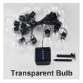 Transparent bulb