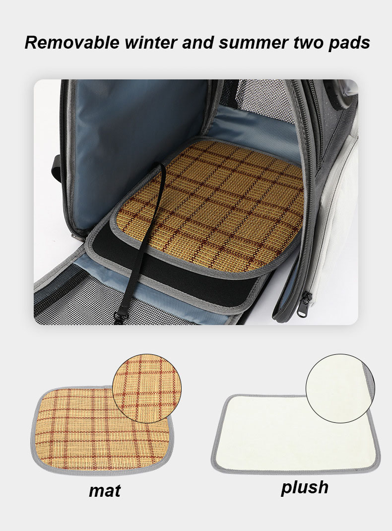 Portable Pet Carrier