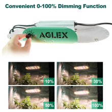 Adjustable Grow Light Lighting Intensity for Plants